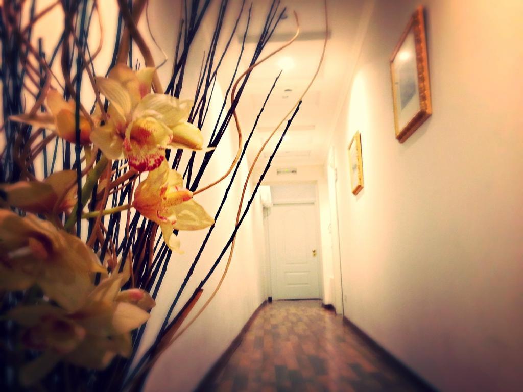 Residenza Domiziano Bed & Breakfast Roma Exterior foto